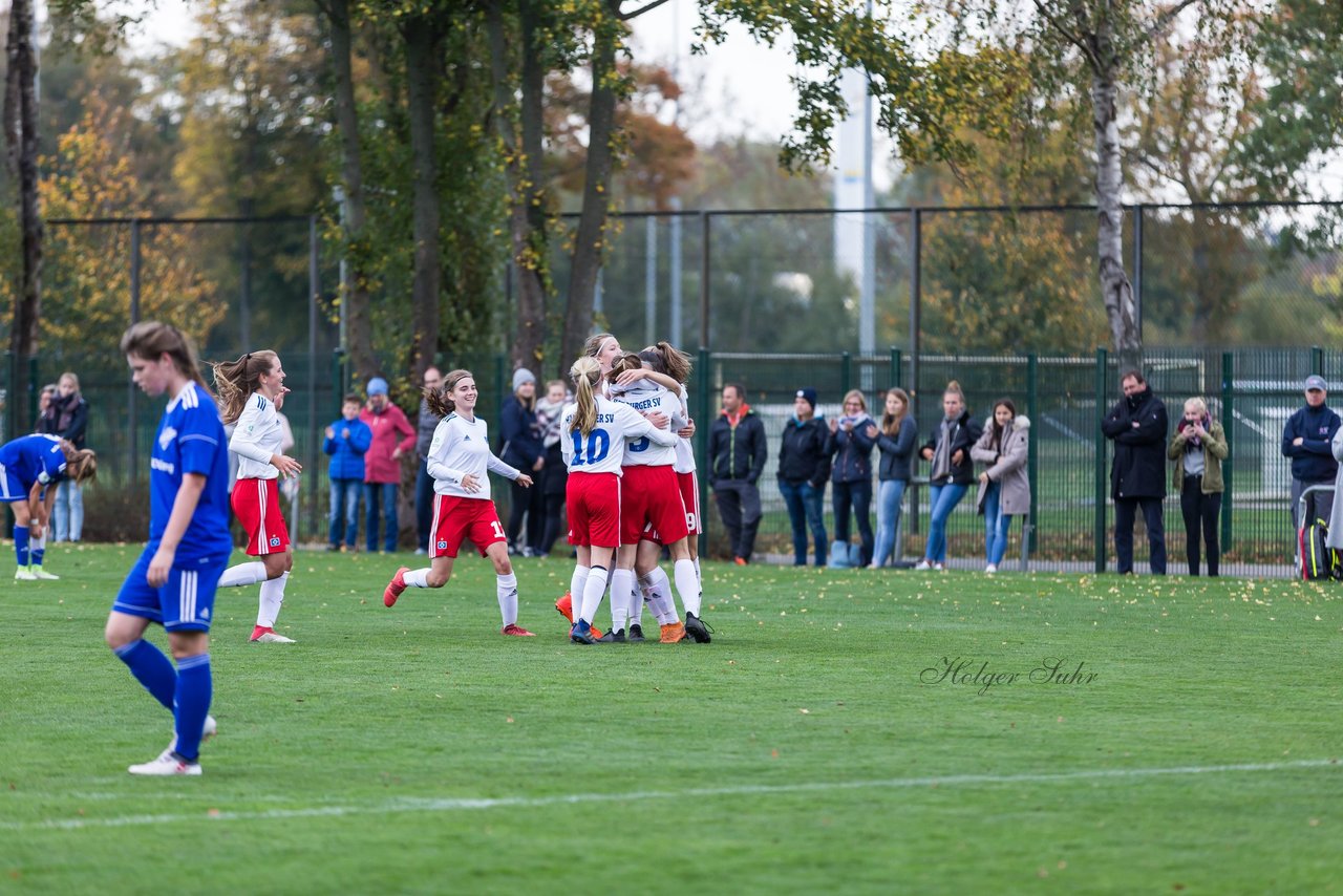 Bild 288 - B-Juniorinnen Hamburger SV - FC Neubrandenburg 04 : Ergebnis: 3:1